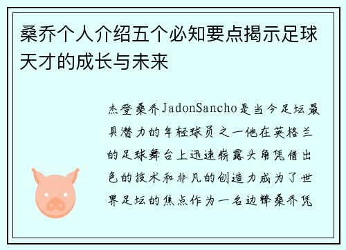 桑乔个人介绍五个必知要点揭示足球天才的成长与未来